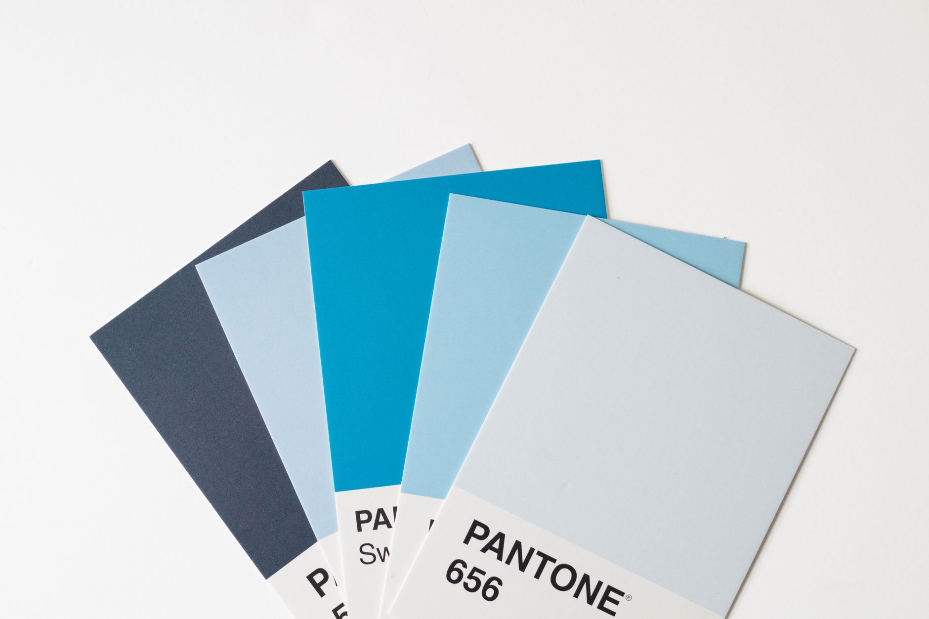 Pantone brand colour swatches